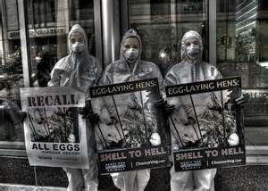 Vegan Protest against the consumption of eggs