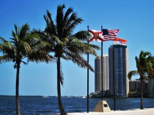 Two palm trees stand next to the Florida State flag, the American flag, and the Miami City flag, with the Miami bay behind.