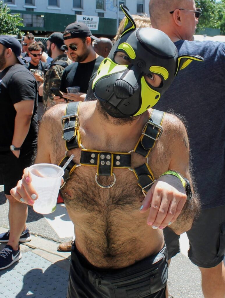 A person poses outside in front of a crowd, wearing a black and yellow pup hood, a leather harness, and no shirt. His head is tilted to one side playfully, and he is holding up his hands to mimic animal paws.