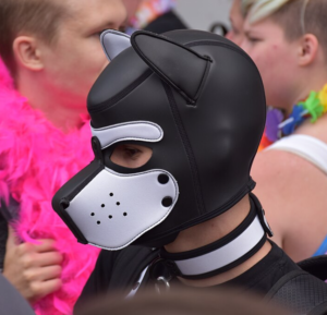 Profile view of a person wearing a black and white pup hood.