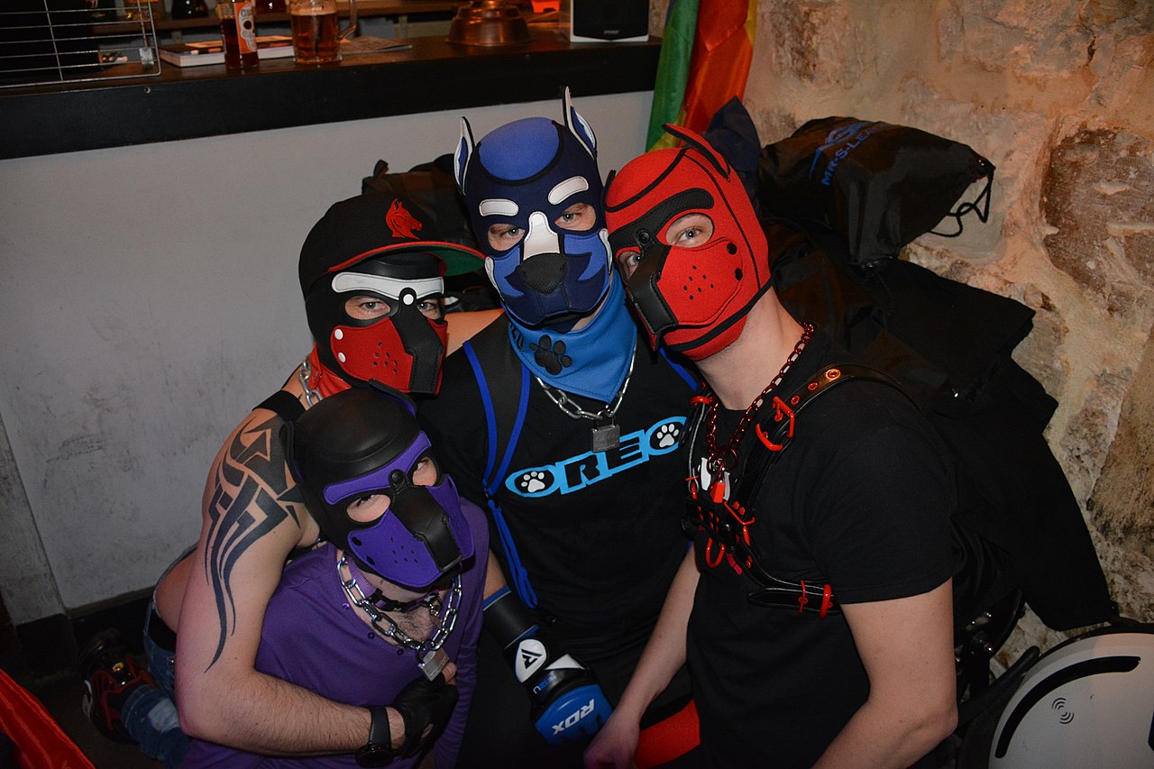 A group of four pups sitting closely together, each wearing a different colored pup hood. LTR: Purple and black, black and red, blue, and red.