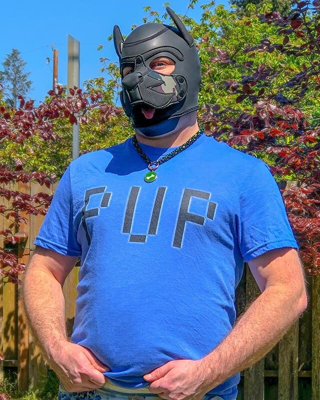 Picture of Farrstrider from their blog. He is wearing a black pup hood and a blue shirt with the word "PUP" in black lettering.
