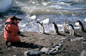 Man taking photo of penguins in Antarctica
